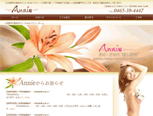 Tablet Screenshot of an-nie.com